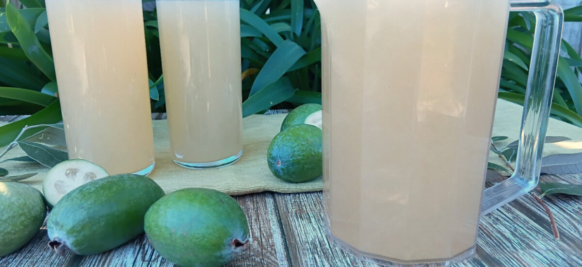 Feijoa Cordial