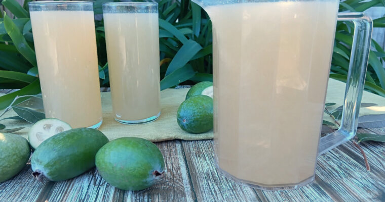 Feijoa Cordial